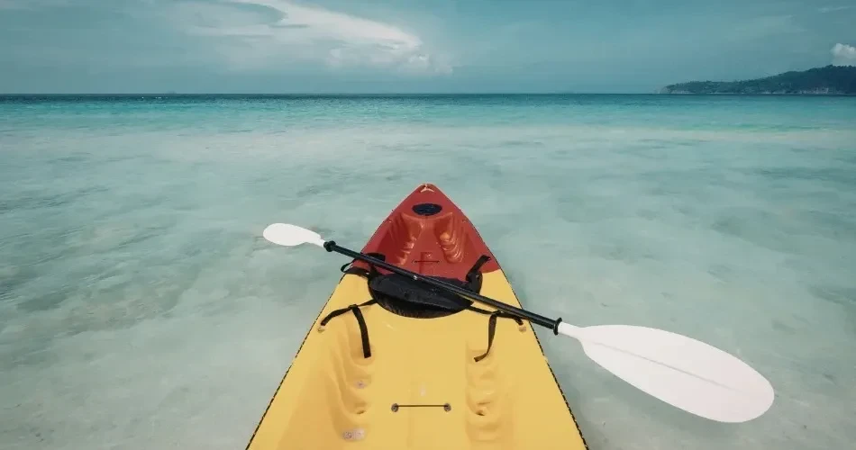 Ultimate Oceanside Adventure Guide: Best Outdoor Activities & Coastal Experiences